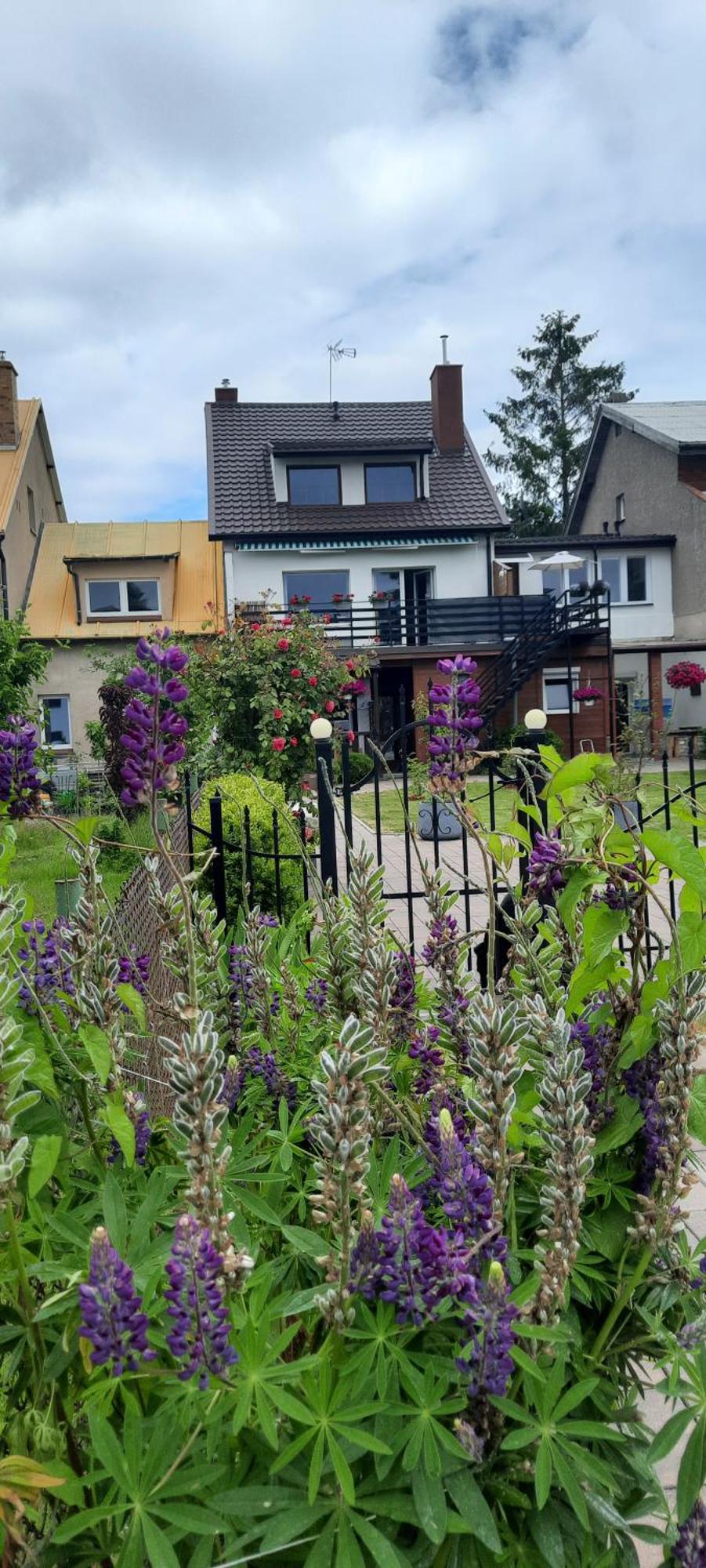 Apartamenty Nad Morzem コウォブジェク エクステリア 写真